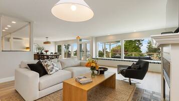 Een smart-tv, een open haard, boeken en een muziekbibliotheek