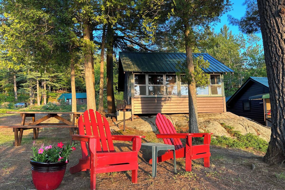 A rustic cabin with a green roof, surrounded by tall trees and a picnic table with red Adirondack chairs.