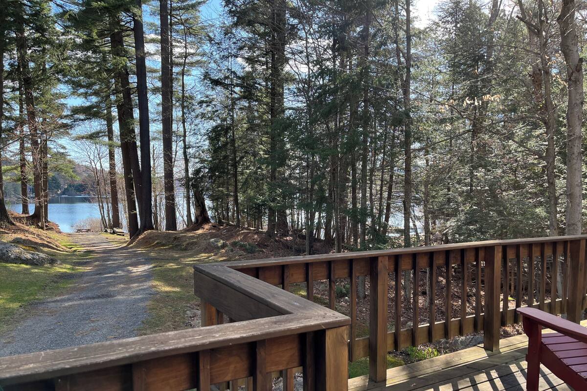 A wooden deck with a bench overlooking a lake surrounded by tall trees.