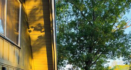 Amazing Lakeside hot tub, A-frame 3 King Beds, Shawnee Forest sleeps 2-6 Firepit