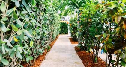 Casa Cordova Apartments By Lowkl