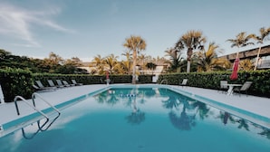 Une piscine aux eaux cristallines, bordée de chaises longues et d’ombrelles, entourée de palmiers et d’une haie.