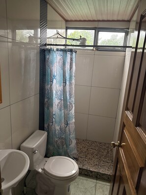 Toallas y papel de baño