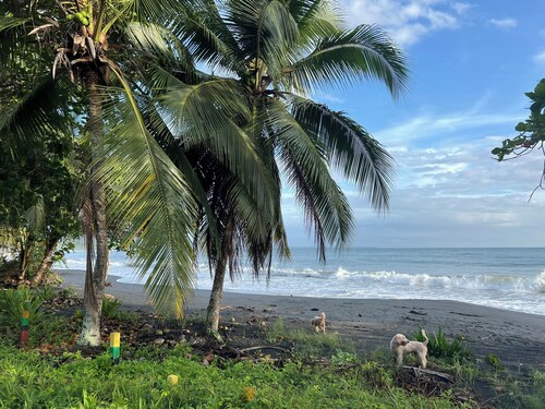 MONKEY VIEW: Relaxed Quiet Secure Get Away from the Pto Viejo party + Location! 