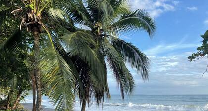 MONKEY VIEW: Relaxed Quiet Secure Get Away from the Pto Viejo party + Location!