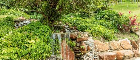 Un jardin agrémenté d’une petite cascade, entouré d’une végétation luxuriante et délimité par un mur de pierre.