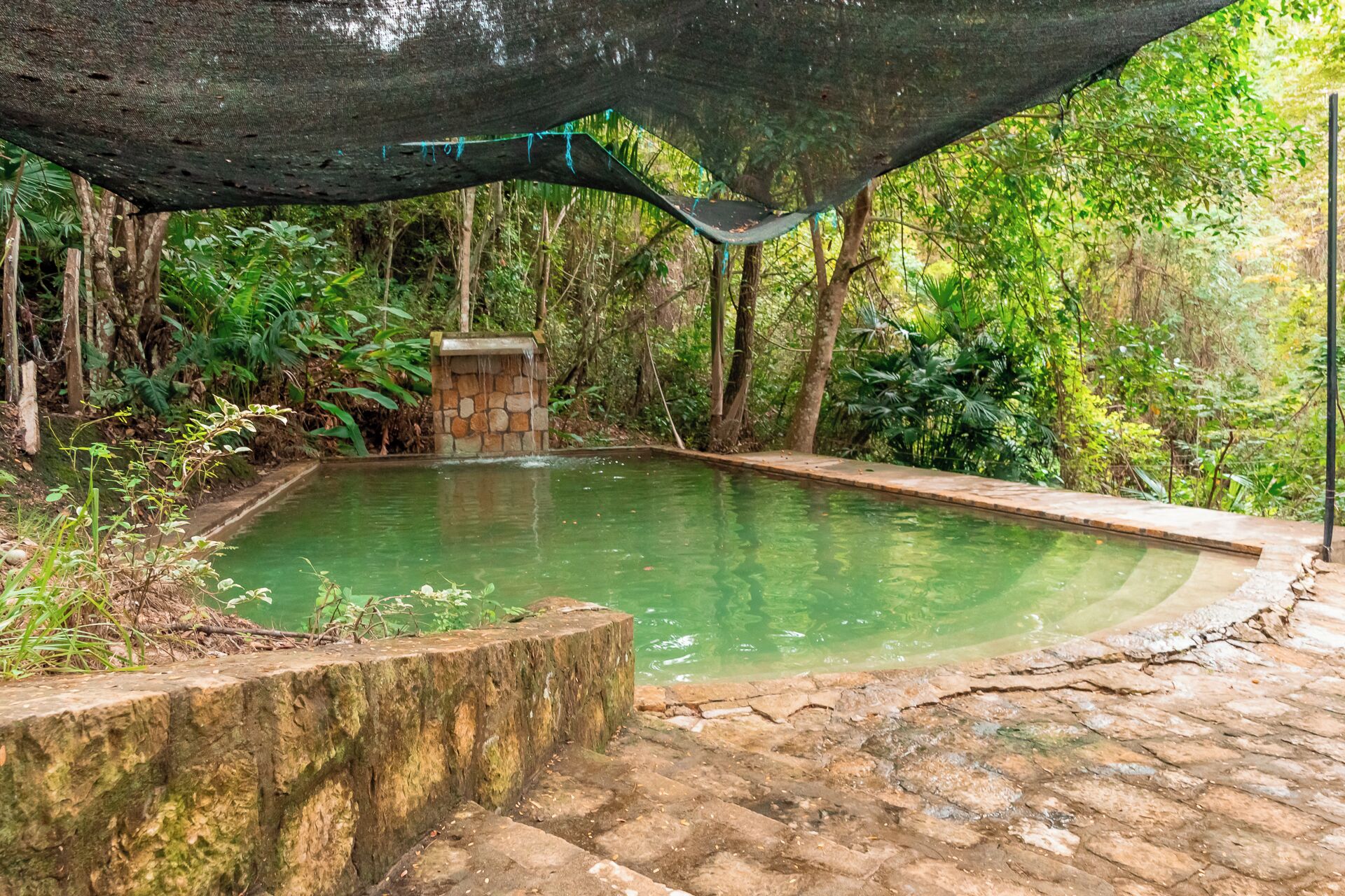 Una piscina rectangular con un muro de piedra y una pequeña construcción de piedra en el centro, rodeada de abundante vegetación.