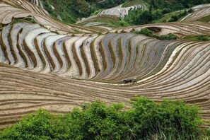 Miscellaneous - Jiuqi Longji Holiday Hotel (Longsheng)