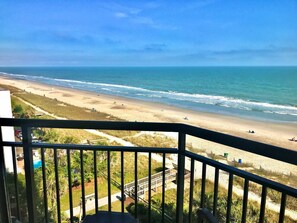Property grounds - Winter Rates! Gorgeous Oceanfront Suite! 1Br Condo/ Dog friendly (Myrtle Beach)