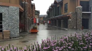 A street with buildings on either side, a wet pavement, and a flower bed in the foreground.