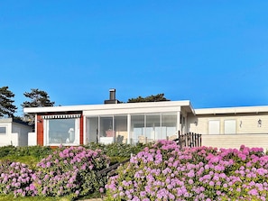 Une maison moderne à deux étages, dotée d’un grand porche avant à larges baies vitrées, entourée d’arbustes en fleurs.
