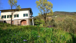 A two-story house with a stone facade, green shutters, and a wooden door. - Cottage in Sesta Godano Near the Sea (Sesta Godano)