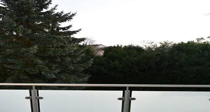 Tasteful Apartment With Balcony