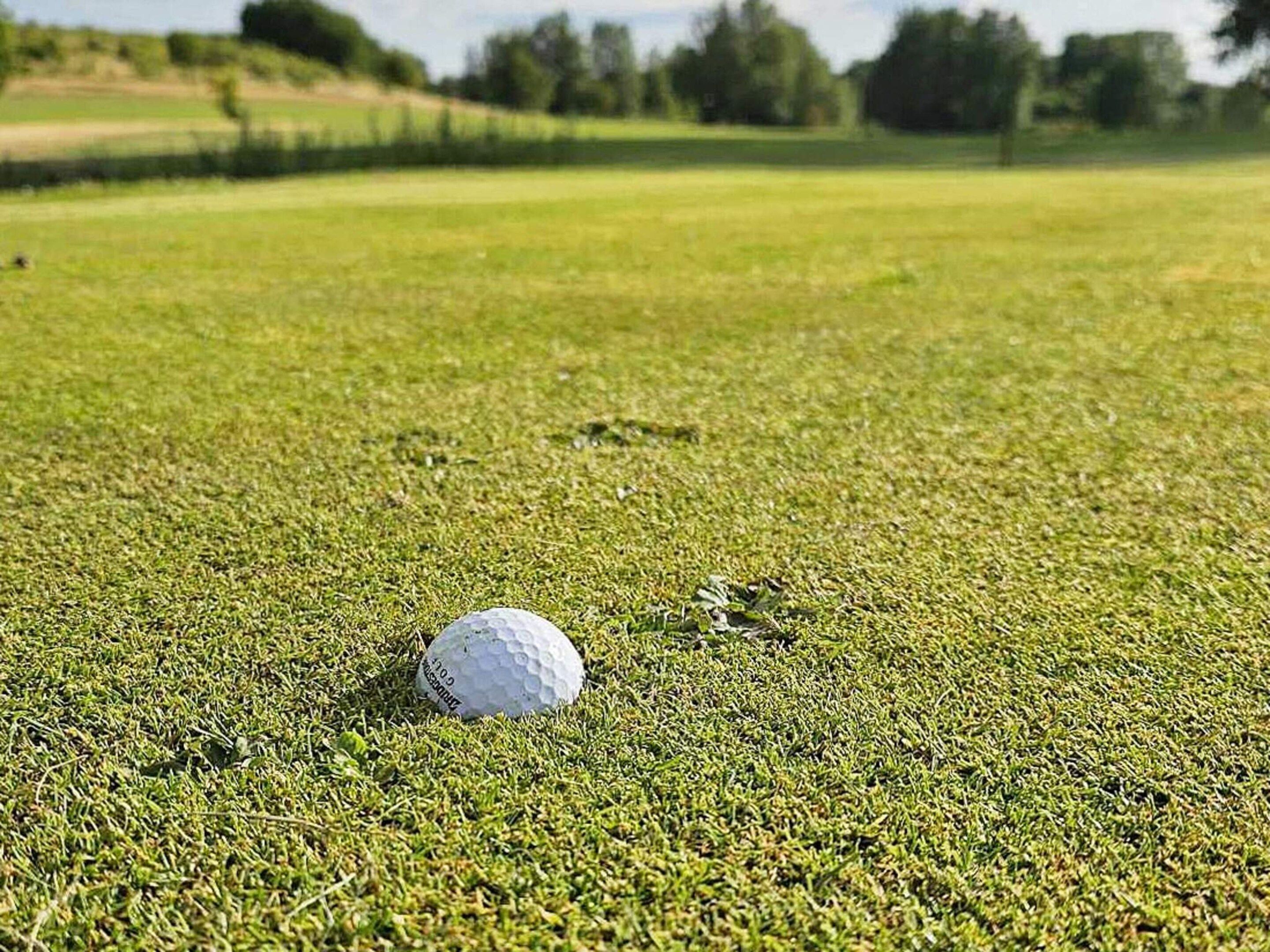 Una pelota de golf sobre un campo de césped cuidado.