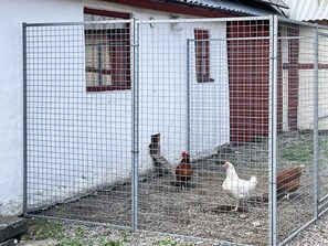 A fenced area with a white building, a red door, and a window. - 4 Person Holiday Home in Lovestad (Lövestad)