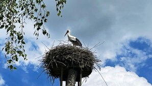 Hús | Fyrir utan