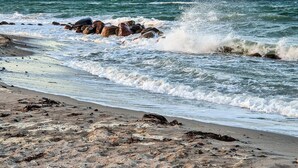 A beach with waves crashing onto rocks and a sandy shore. - 6 Person Holiday Home in Otterup (Otterup)