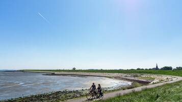 Vista desde la propiedad