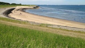 Une plage avec une côte incurvée, des zones herbeuses et un ciel dégagé.