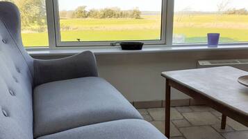 A room with a grey sofa, a small table, and a window with a view of a green field.