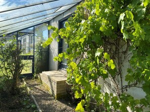 A greenhouse with a glass roof, a brick wall, and a small wooden bench.