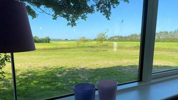 A window with a view of a grassy field and a lamp on the window sill.