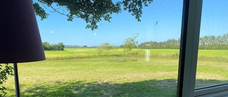Ein Fenster mit Blick auf ein grünes Feld und einer Lampe auf dem Fensterbrett.