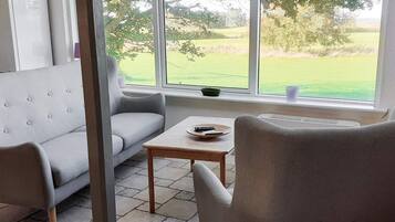 A room with a grey sofa, a small table with a bowl and remote controls, and a window overlooking a grassy area.