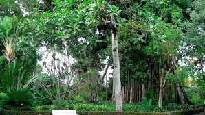 รูปภาพที่ไม่ได้จัดประเภท, 2 จาก 44, ปุ่ม