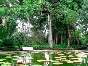 Ferienhaus | Außenbereich