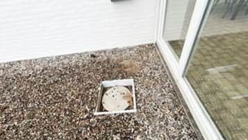 A gravel-covered ground with a white drain cover.