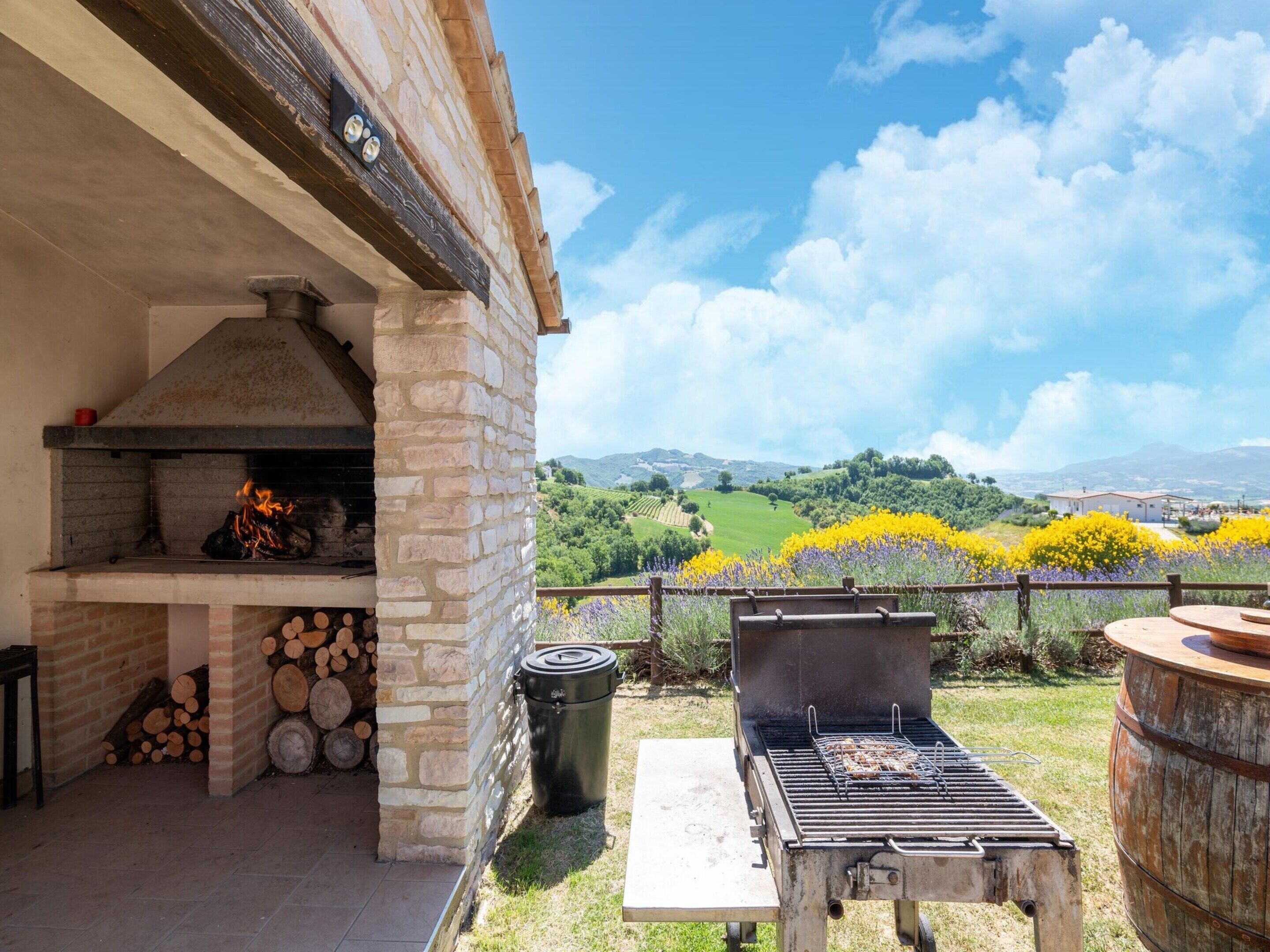 An outdoor kitchen with a stone oven, a grill, and a view of a vineyard.