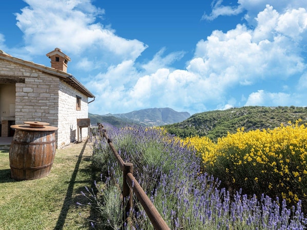 Nhà | Ngoại thất