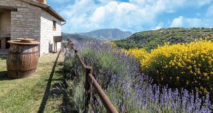 Country House in Cagli With Pool and Views