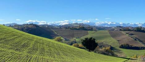 Un paysage rural avec des champs en terrasses et, au loin, des montagnes aux sommets enneigés.