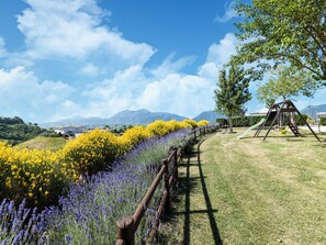 Garden - Country House in Cagli With Pool and Views (Cagli)