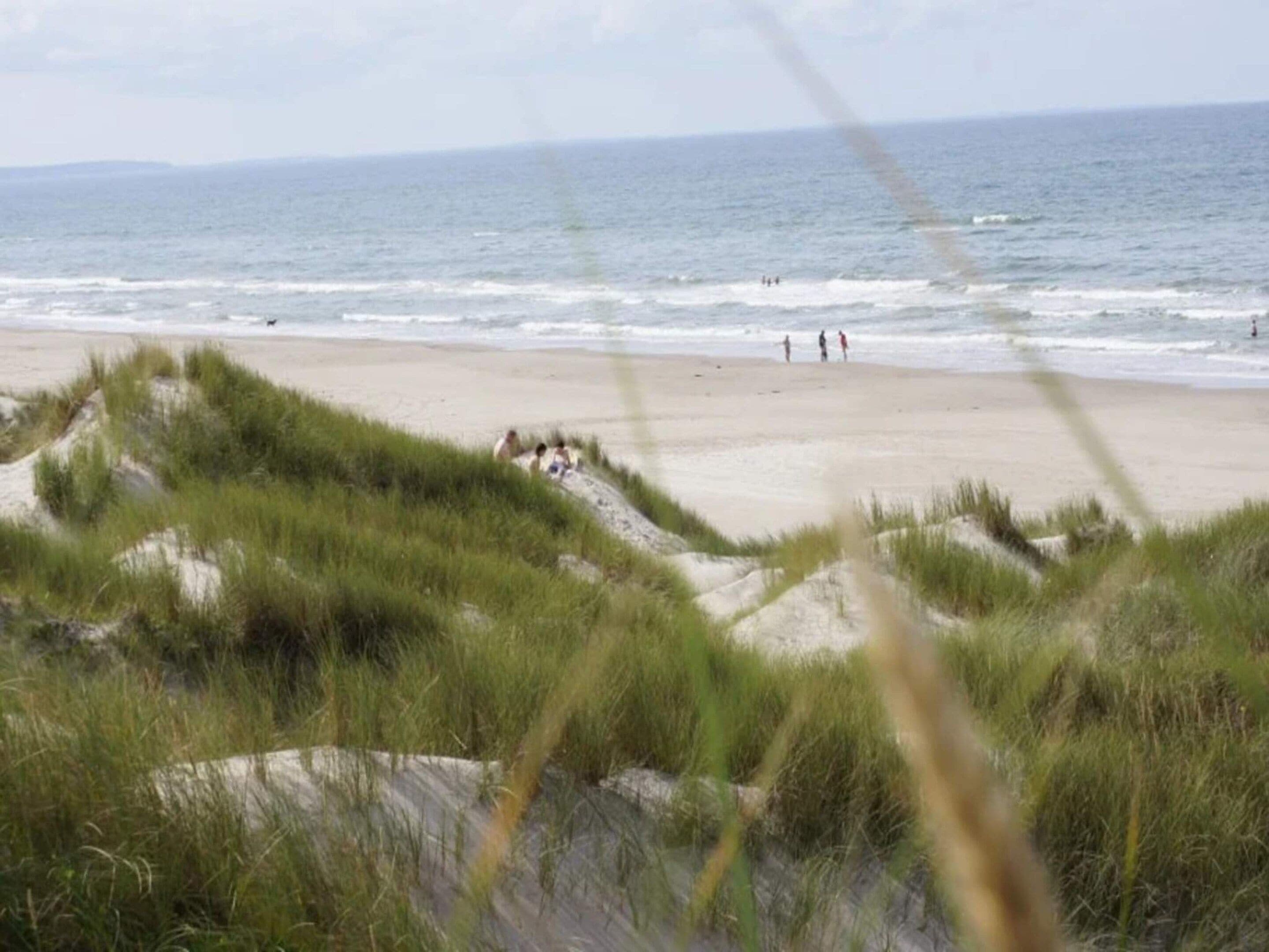 A beach with sand dunes and the ocean in the background.