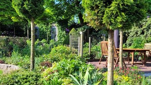 A garden with a wooden table and chairs, surrounded by various plants and trees. - Villa in Overloon Near War Museum (Overloon)