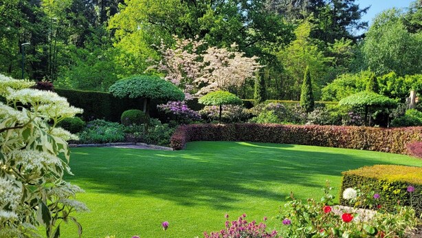 A well-manicured garden with a variety of flowering plants and neatly trimmed hedges. - Villa in Overloon Near War Museum (Overloon)
