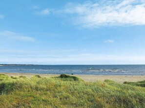 A beach with grassy dunes and a clear blue sky.