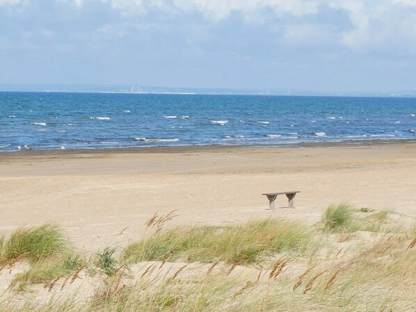 A beach with sand dunes and a bench.