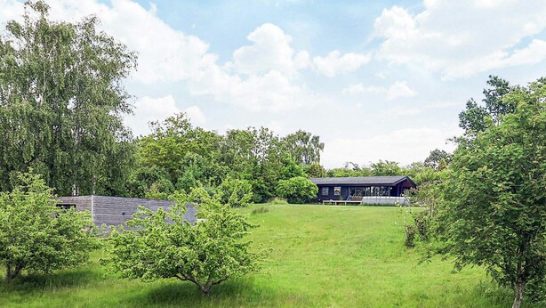 A rural setting with a house surrounded by lush greenery and a grassy field. - 4 Star Holiday Home in Vejby (Vejby)
