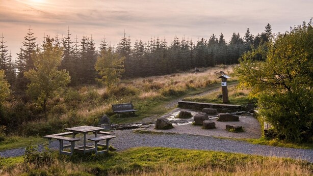 A picnic area with benches and a picnic table, surrounded by trees and a small stream. - Gemutliches Apartment in Winterberg mit Balkon (Winterberg)