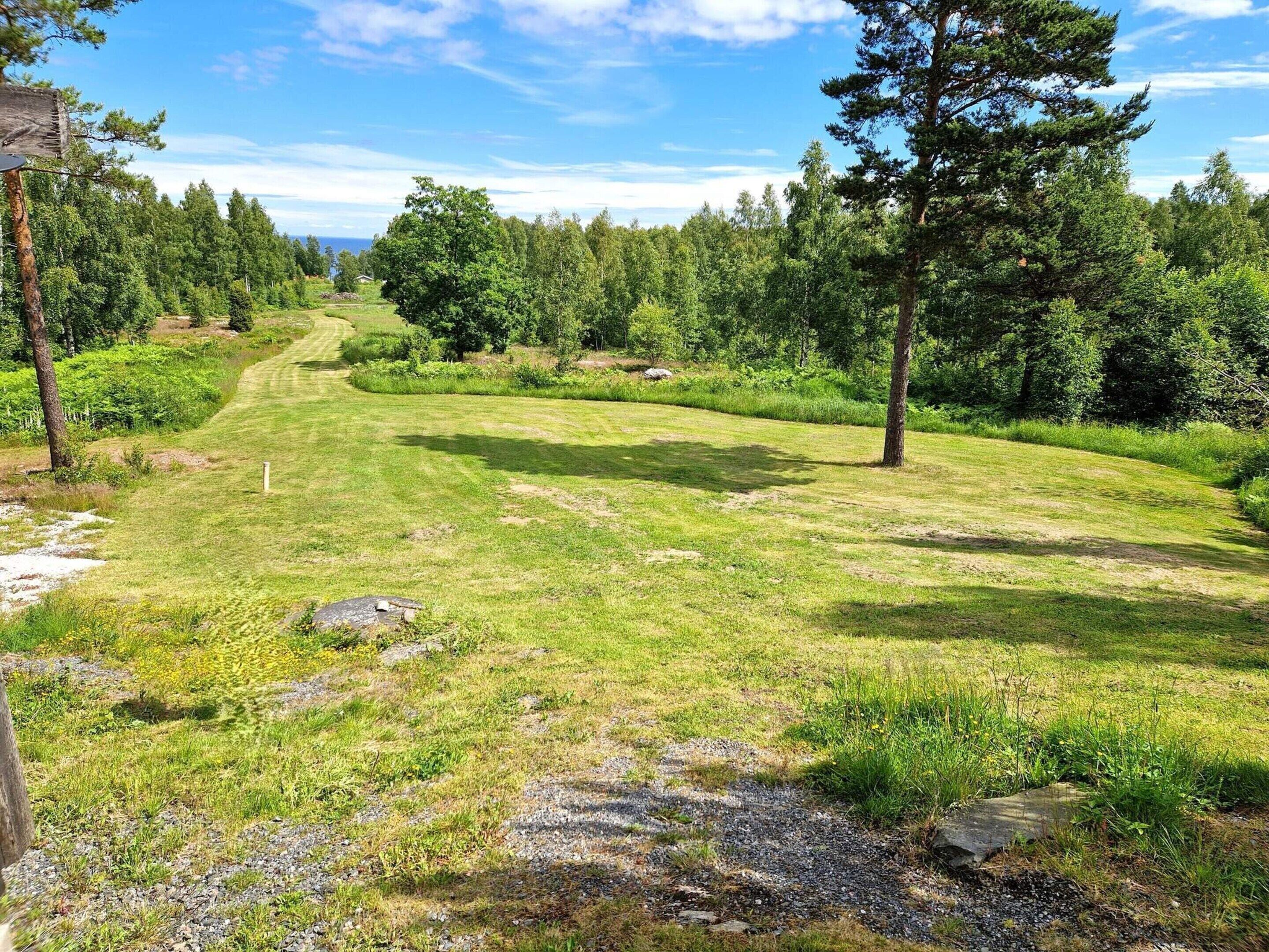 Ein grasbewachsener Pfad führt durch ein bewaldetes Gebiet mit Bäumen und blauem Himmel.