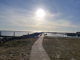 独立别墅 | 其他