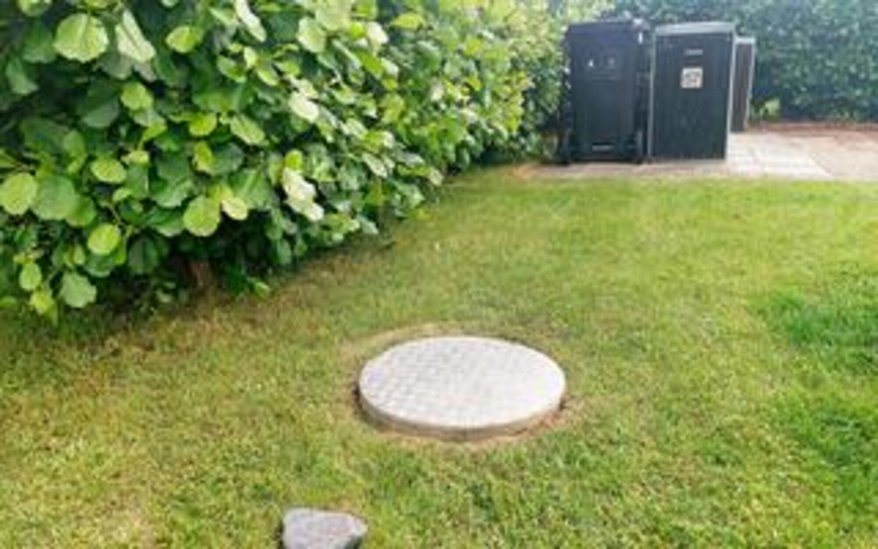 A grassy area with a circular manhole cover and a bush.