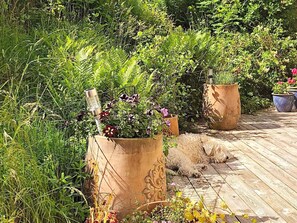 單棟房屋 | 外觀