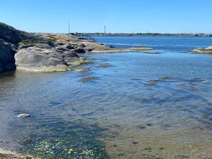 A rocky shoreline with clear water, a distant view of wind turbines, and a calm sea. - 2 Person Holiday Home in Kalvsund (Kalvsund)