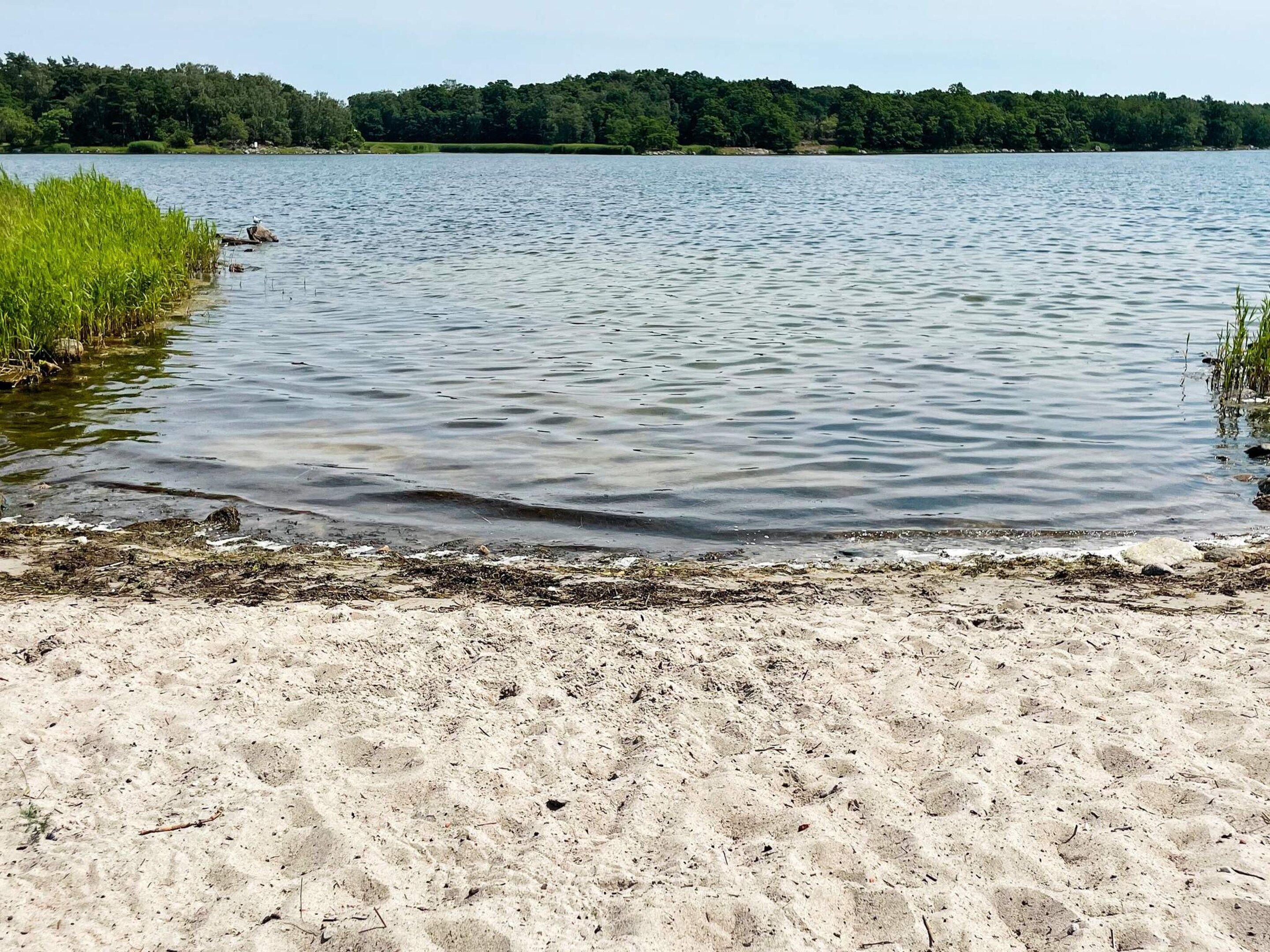 A sandy beach with calm water and a forested shoreline.
