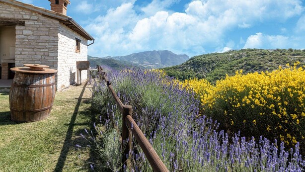 A stone building with a chimney, a barrel, and a wooden fence. - Relaxing Countryside Stay (Cagli)